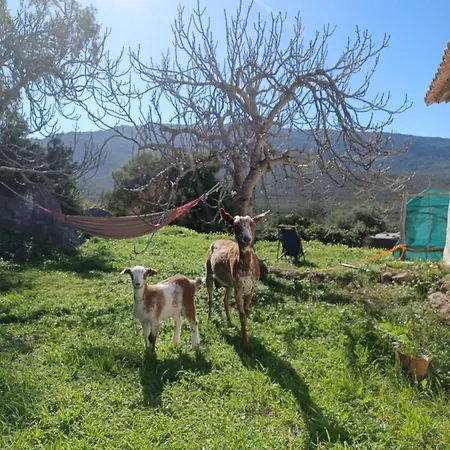 En Molino Dorado Campingplads *