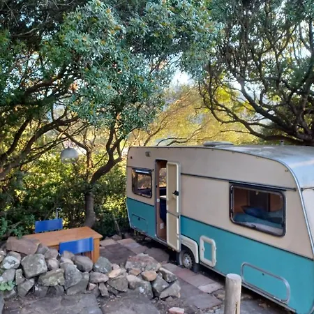 Campingplads En Molino Dorado *