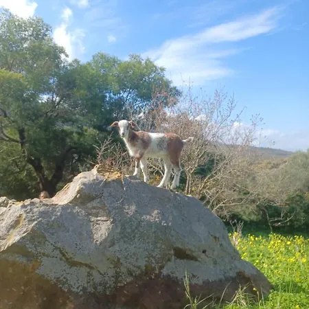 En Molino Dorado Kamp alanı *