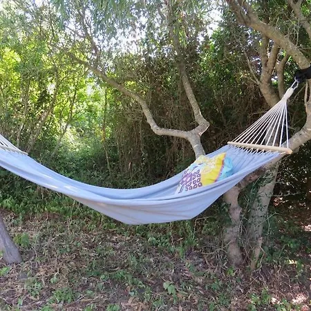 Campingplads En Molino Dorado *