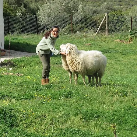 Kamp alanı En Molino Dorado
