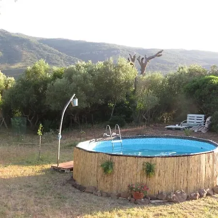 En Molino Dorado *