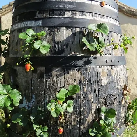 En Molino Dorado
